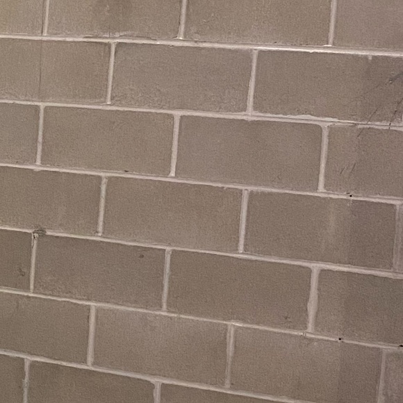 Meet your Posher, Abby - Picture 1 of 1